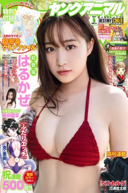 北京女子图鉴电视剧